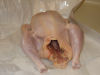 Fresh Purchased Chicken