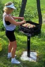 Springtime is just around the corner!