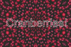 Cranberries!