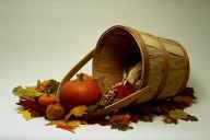 Great Fall Cooking Is Here