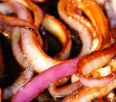 Grilled Onions!