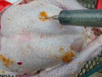 Turkey Injection