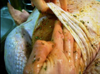 Under the turkey skin