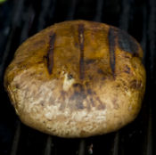 Portobello Mushroom